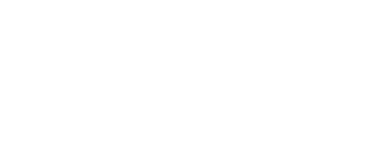 Flanders State of the Art - CFORent